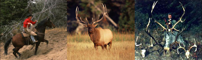 Idaho big game hunting