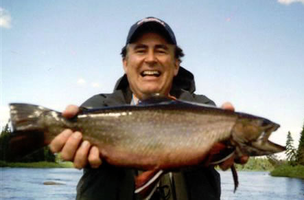 Labrador brook trout