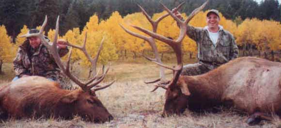 Colorado elk hunting